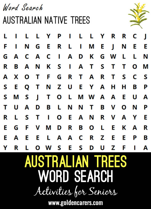 Here is an Australian native trees word search to enjoy.