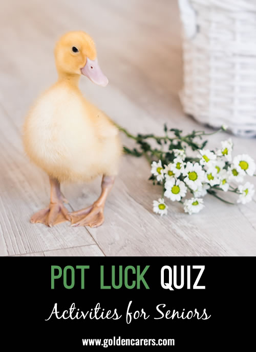 Here is another pot luck quiz to enjoy!