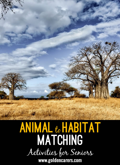 This is a fun activity where residents match animals to their habitats.