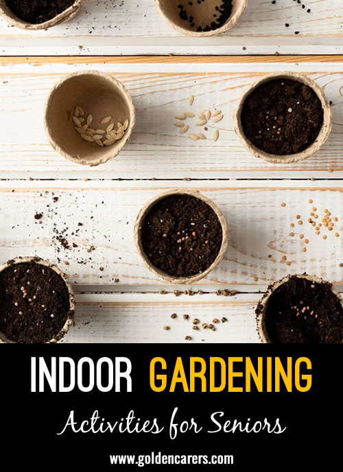 Indoor gardening is a simple and rewarding activity where residents can plant seeds in small pots and nurture them as they grow. 