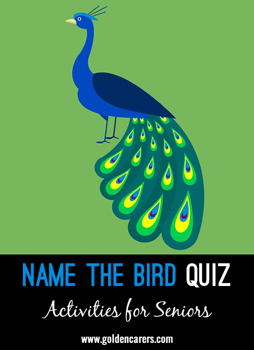 Name the birds based on their pictures!