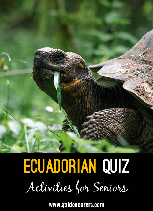 Here is an Ecuadorian-themed quiz to enjoy!