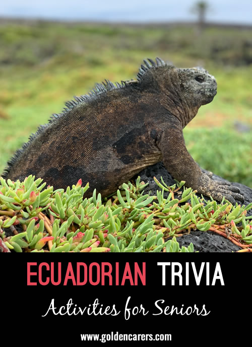 Here are some fascinating tidbits of Ecuadorian trivia!