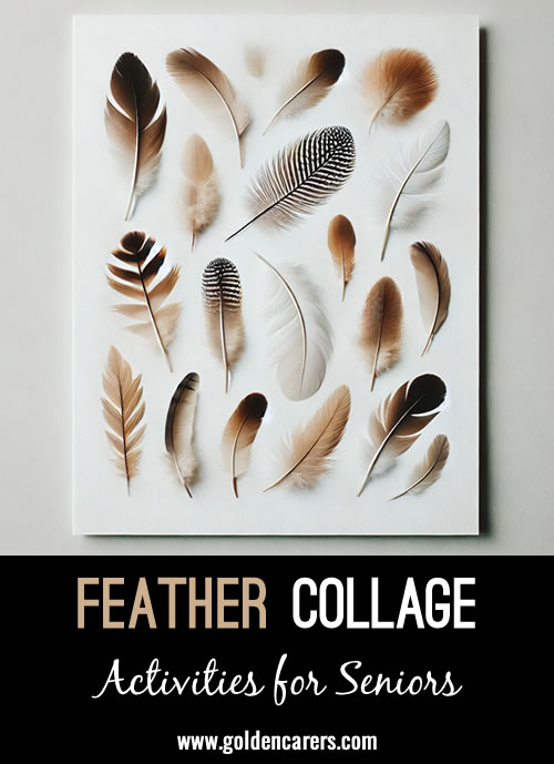 Create a beautiful feather collage using collected feathers from nature!