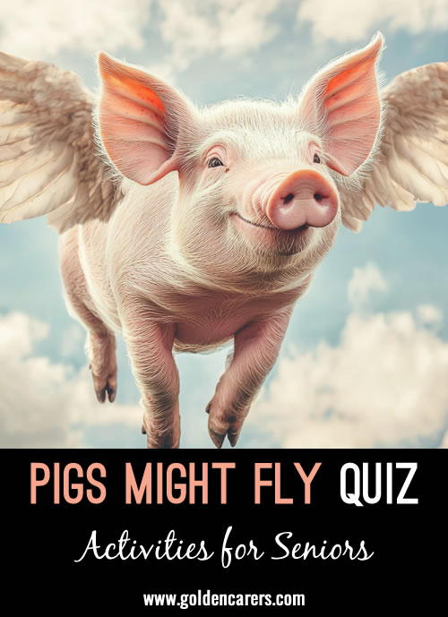 True or false pig quiz! If you think a statement is false, wave your 