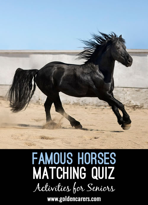 Match owner, creator, film, or book with related horses.