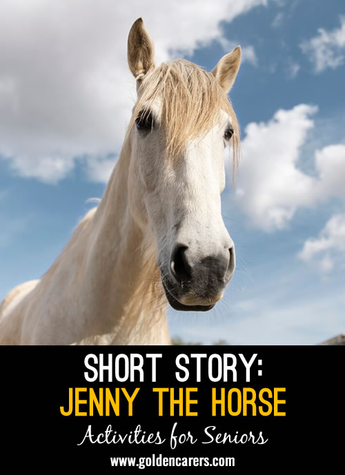 The inspiring story of Jenny the horse from Frankfurt!