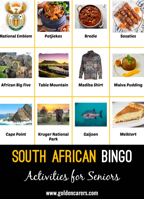 Here is a South African-themed bingo game to enjoy!