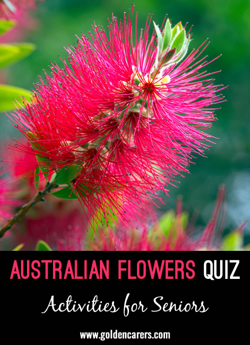 Test your knowledge of Australia’s unique and vibrant flora!