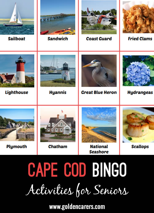 Here’s a Cape Cod-themed bingo game to enjoy!