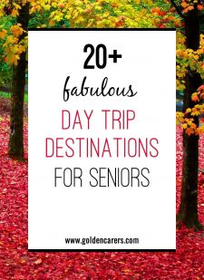 clarkston senior center day trips