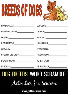 Exercise Word Scramble