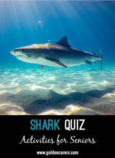 Shark Quiz