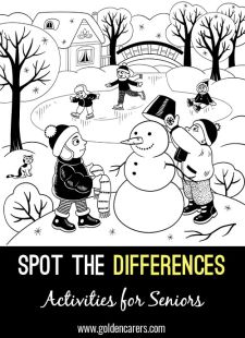 Spot the Differences - Winter