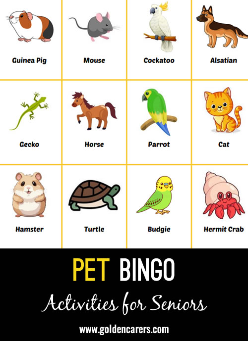 Pet Bingo