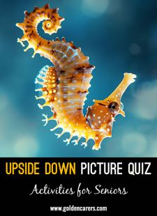 Upside Down Picture Quiz #2