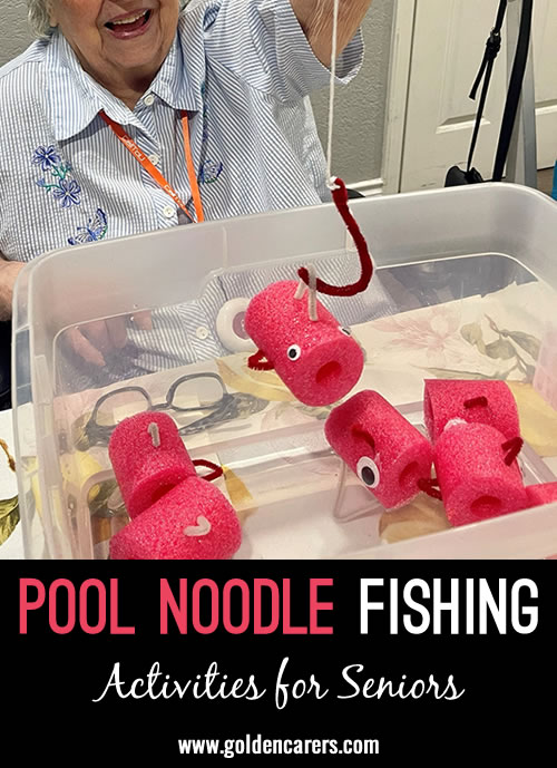 Pool Noodle Fishing