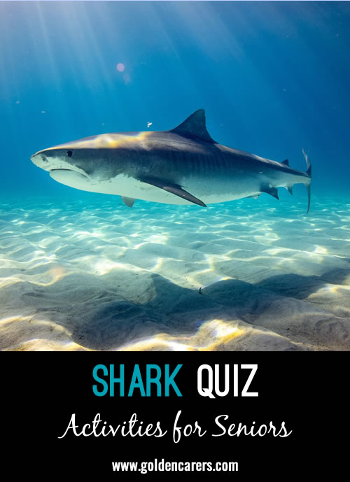 Shark Quiz