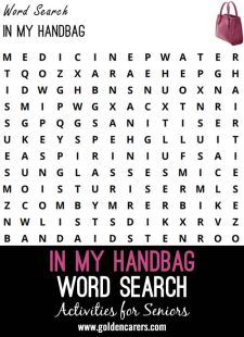 In My Handbag Wordsearch