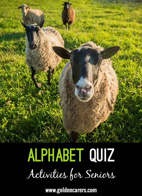 Alphabet Quiz #8