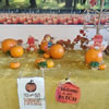 Pick & Paint Pumpkin Patch