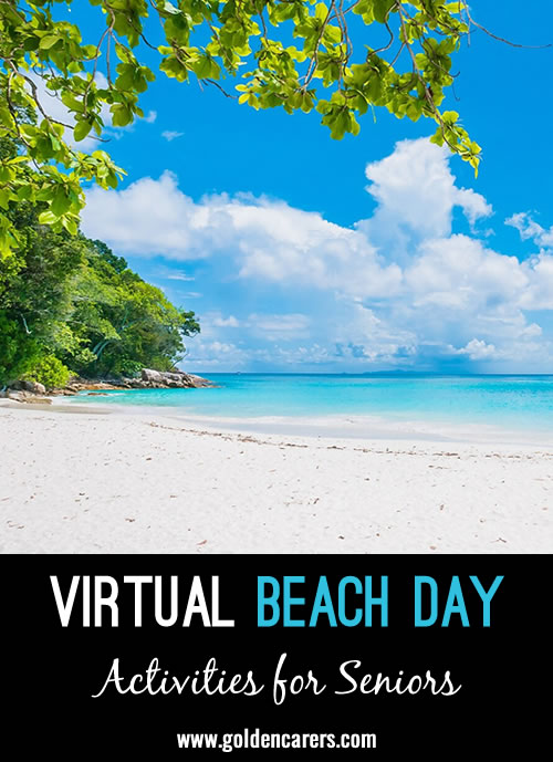 Virtual Beach Day