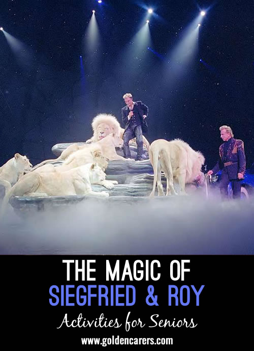 Short Story: The Magic of Siegfried and Roy