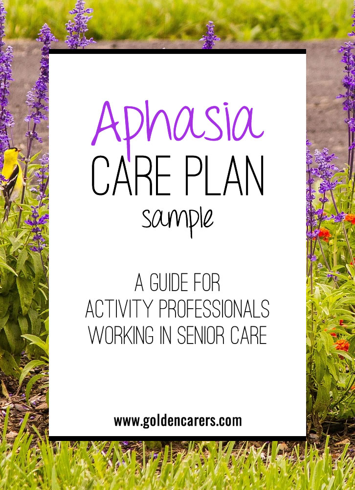 Aphasia Care Plan Sample