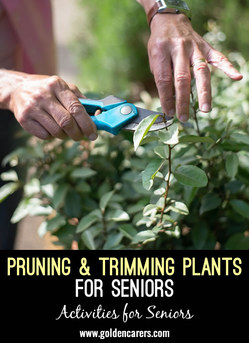 Pruning & Trimming Plants for Seniors