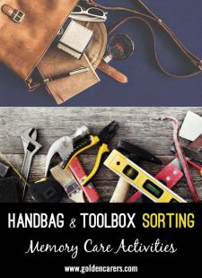 Handbag Sorting (Toolbox for men)