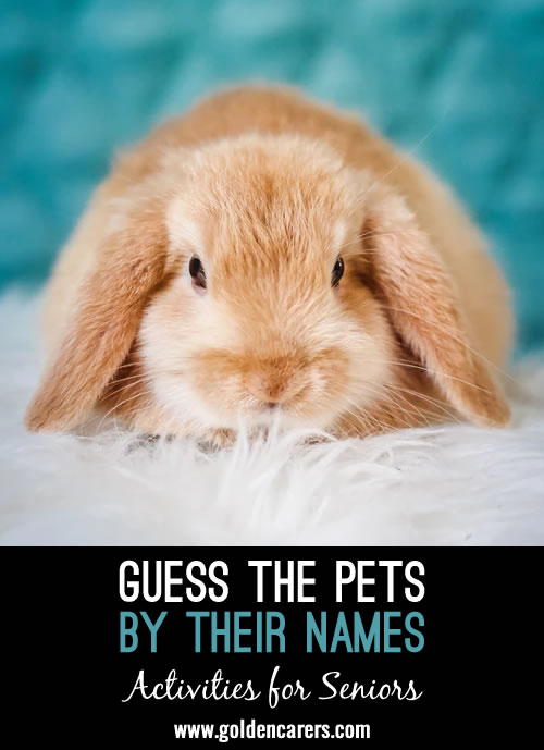 Pet Names Quiz