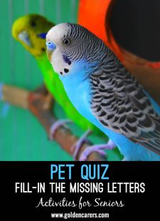 Fill-in the Missing Letters Pet Quiz