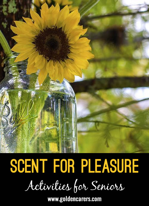 Scent for Pleasure