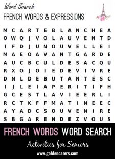 French Word Finder