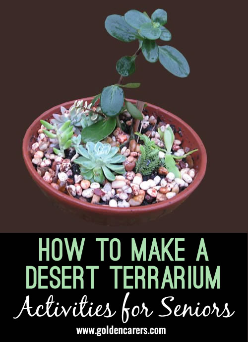 How to Create a Desert Terrarium 