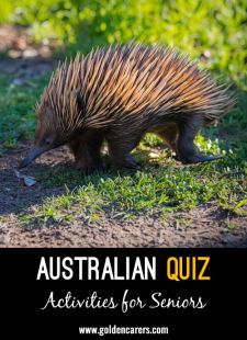 Australian Quiz #6