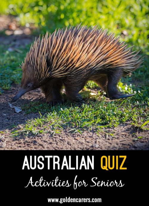 Australian Quiz #6