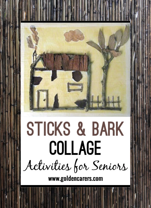 Sticks & Bark Collage