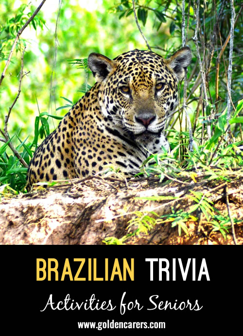 18 Snippets of Brazilian Trivia