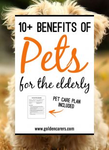 10+ Benefits of Pet Therapy