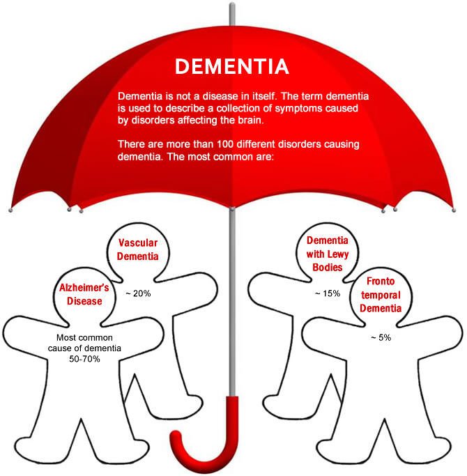 What is Dementia? Alzheimer's Disease vs Dementia