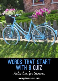 Words starting with B Quiz