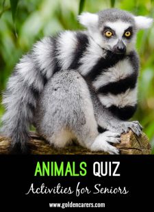 Name the Animals Quiz