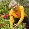 How to start a Garden Club for Seniors