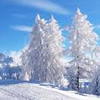 Snow & Winter Quiz