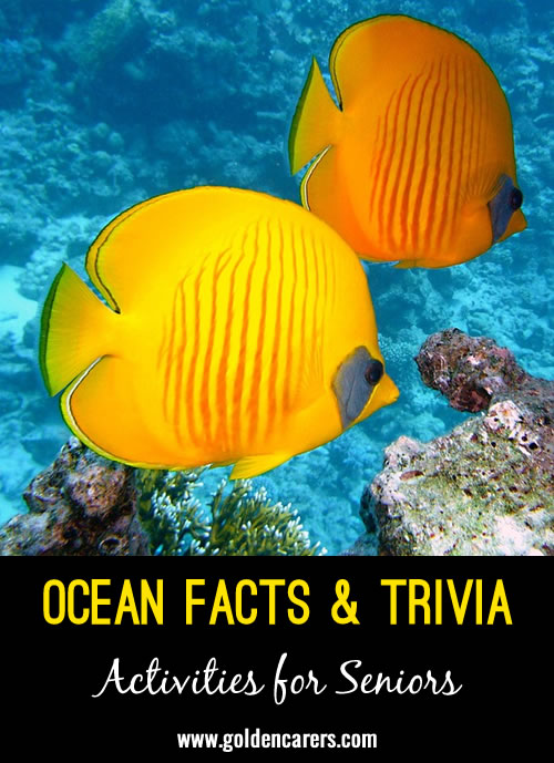 Ocean Facts and Interesting Trivia 