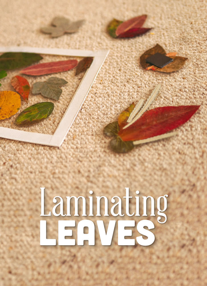 Laminating Leaves