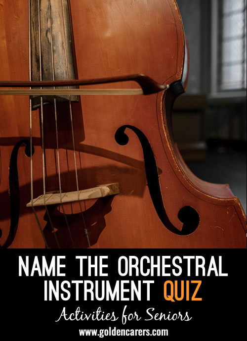 Name the Orchestral Instrument