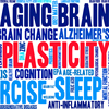 Brain Games & Brain Fitness