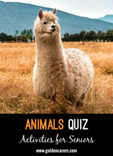 Name the Animal Quiz 2